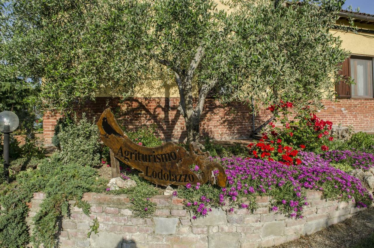 Agriturismo Lodolazzo Кортона Экстерьер фото